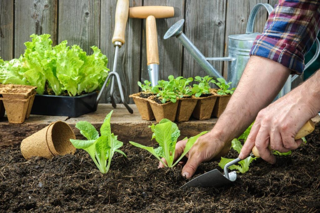 When Is the Best Time to Plant a Vegetable Garden in Your Region