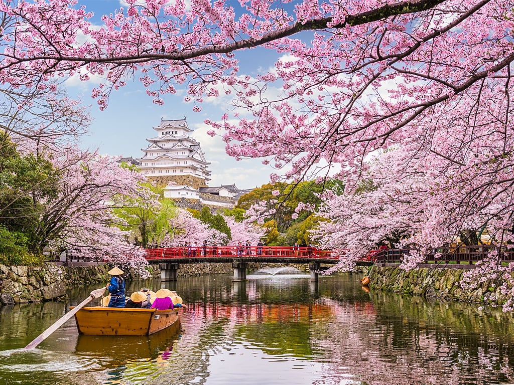 When Is the Best Time to Visit Japan for Cherry Blossom Season